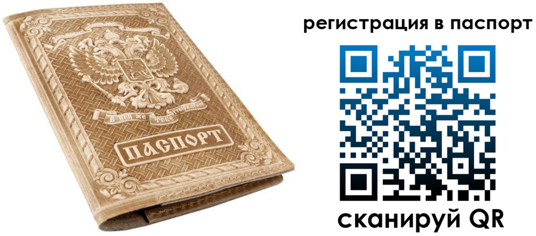 прописка в Сельцо